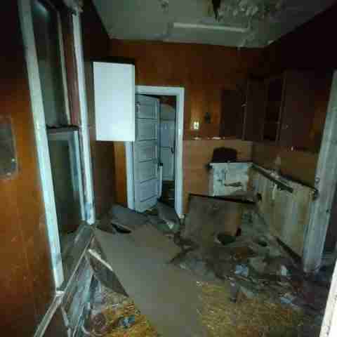 8031 conger (84).jpg